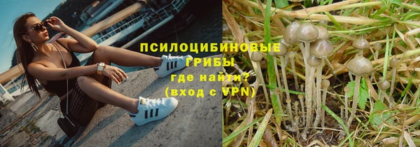прущая мука Арсеньев