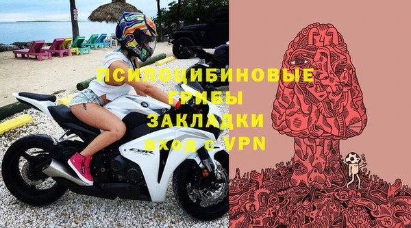 прущая мука Арсеньев