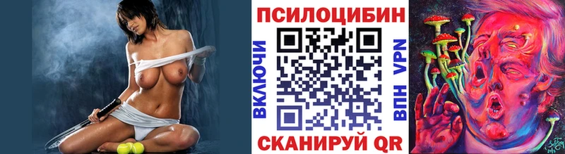 Псилоцибиновые грибы Psilocybe  Мглин 